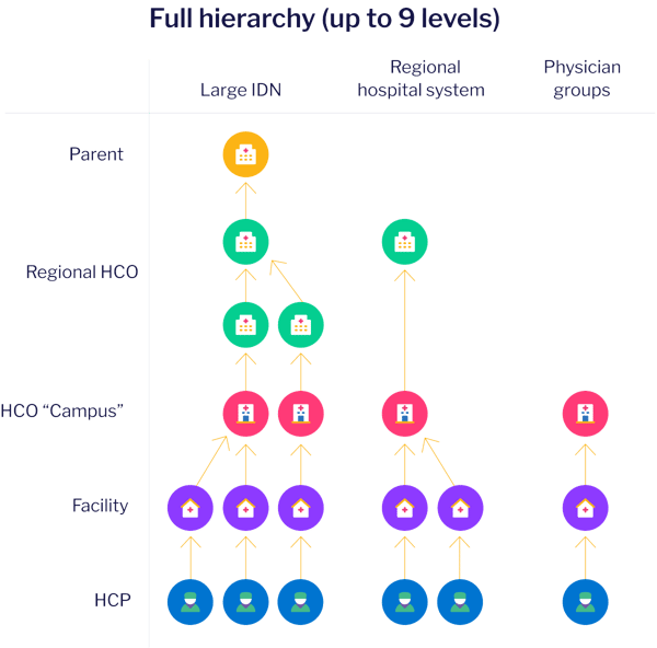 Flexible Hierarchie-1